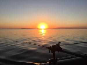 North Dakota Fishing Guide Walleye